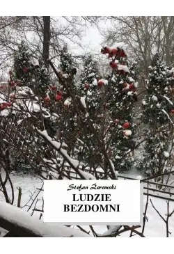 Ludzie bezdomni