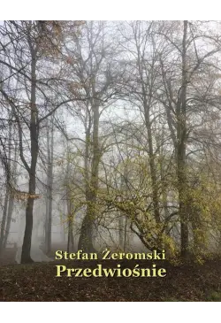 Przedwiośnie
