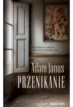 Przenikanie