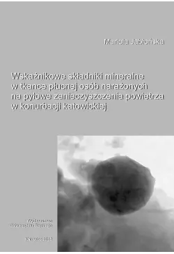 Wskaźnikowe składniki...