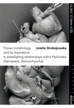 Thorax morphology and its...