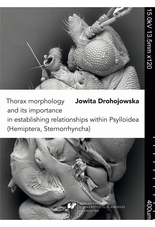 Thorax morphology and its importance in establishing relationships within Psylloidea (Hemiptera, Sternorrhyncha)