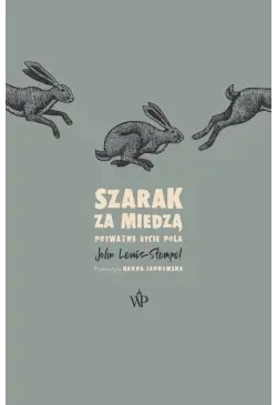 Szarak za miedzą