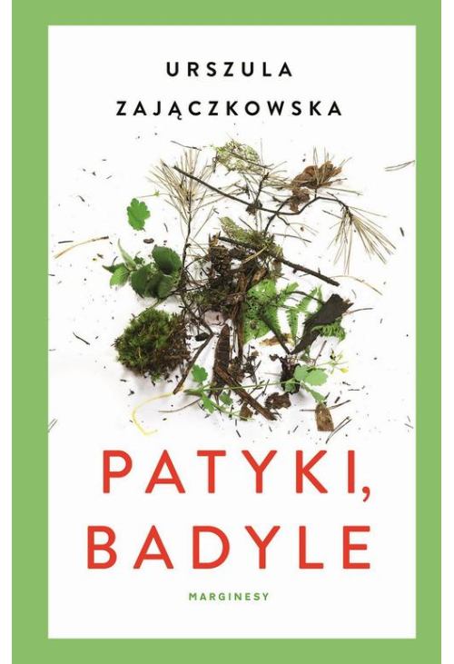 Patyki i badyle