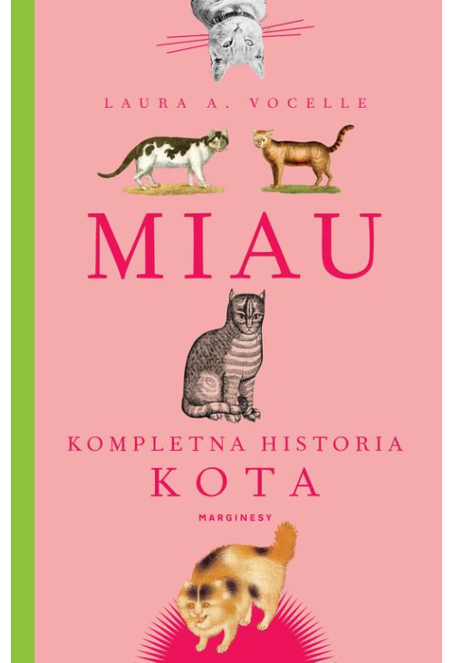 Miau. Kompletna historia kota