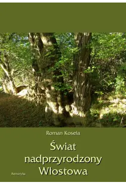Świat nadprzyrodzony Włostowa