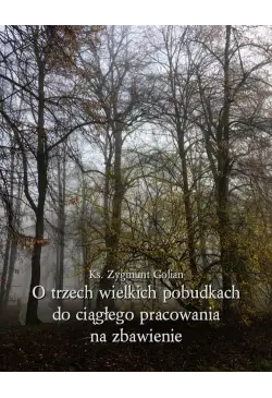 O trzech wielkich pobudkach...