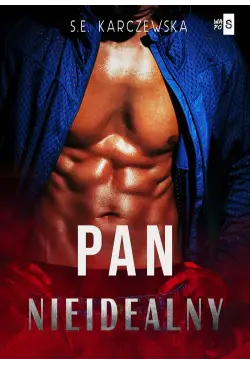 Pan nieidealny