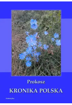 Kronika polska Prokosza