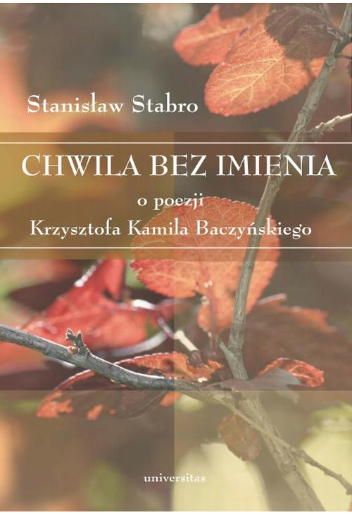 Chwila bez imienia. O poezji Krzysztofa Kamila Baczyńskiego