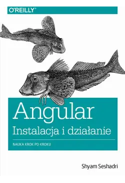 Angular instalacja i działanie
