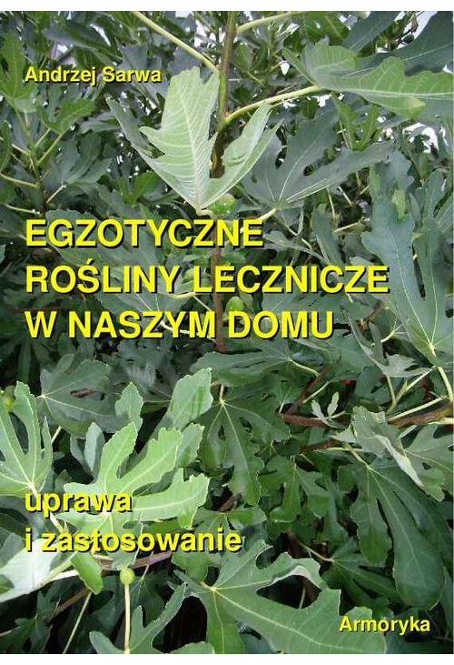 Egzotyczne rośliny lecznicze w naszym domu