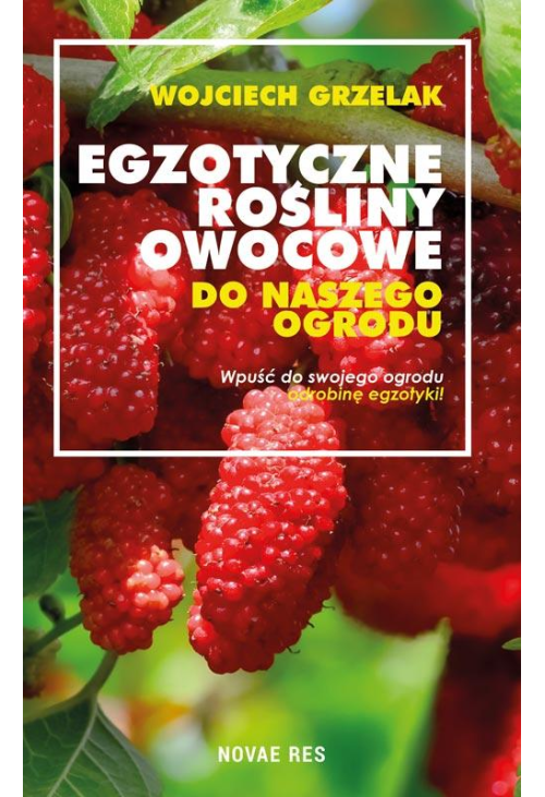 Egzotyczne rośliny owocowe do naszego ogrodu