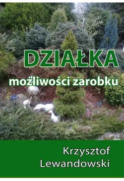 Działka. Możliwości zarobku
