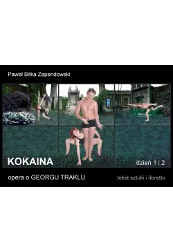 Kokaina