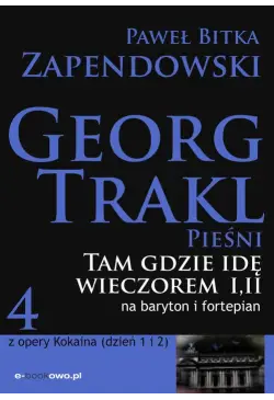 Tam gdzie idę wieczorem