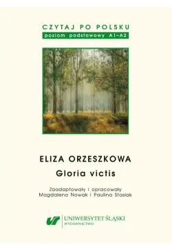 Czytaj po polsku. T. 13:...