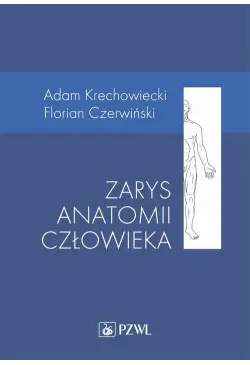 Zarys anatomii człowieka