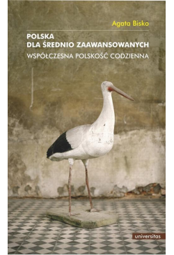 Polska dla średnio...
