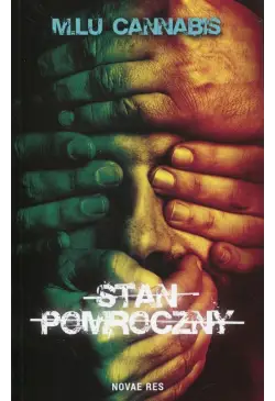 Stan pomroczny