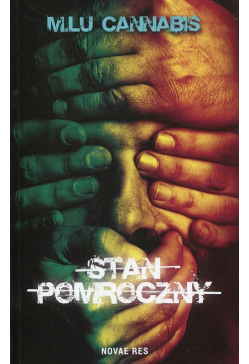 Stan pomroczny