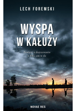 Wyspa w kałuży