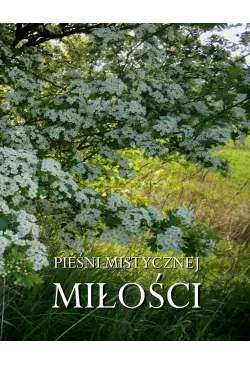 Pieśni mistycznej miłości