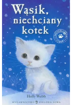 Wąsik niechciany kotek