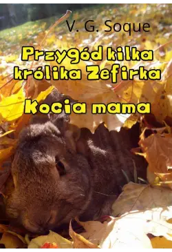 Przygód kilka królika...