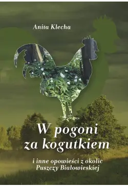 W pogoni za kogutkiem i...