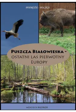 Puszcza Białowieska -...