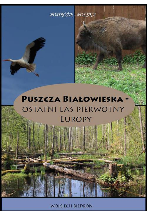 Puszcza Białowieska - Ostatni las pierwotny Europy