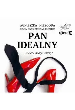 Pan Idealny