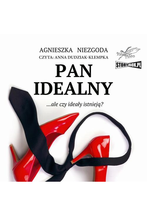 Pan Idealny