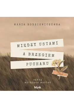 Między ustami a brzegiem...