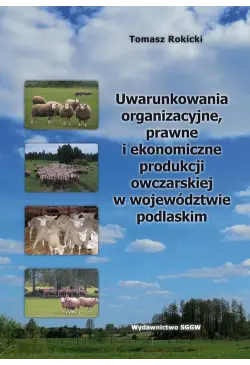 Uwarunkowania...