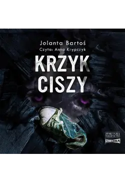 Krzyk ciszy