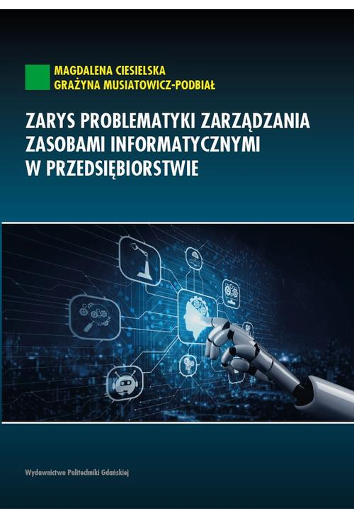 Zarys problematyki zarządzania zasobami informatycznymi w przedsiębiorstwie