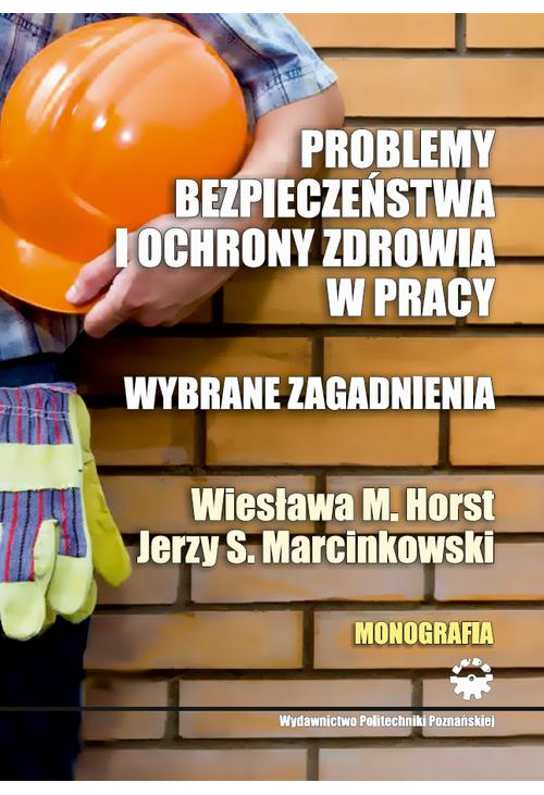 Problemy bezpieczeństwa i ochrony zdrowia w pracy. Wybrane zagadnienia