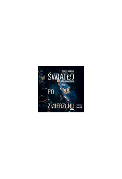 Światło po zmierzchu