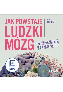 Jak powstaje ludzki mózg