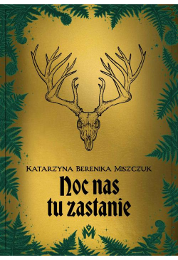 Noc nas tu zastanie