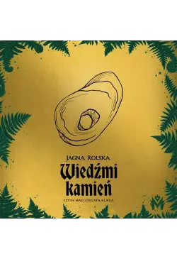 Wiedźmi kamień