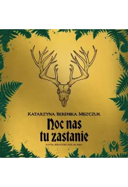 Noc nas tu zastanie