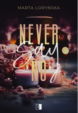 Destiny 1 Never Say No