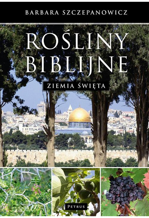 Rośliny biblijne