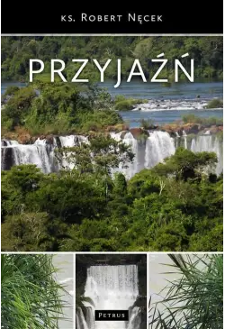Przyjaźń