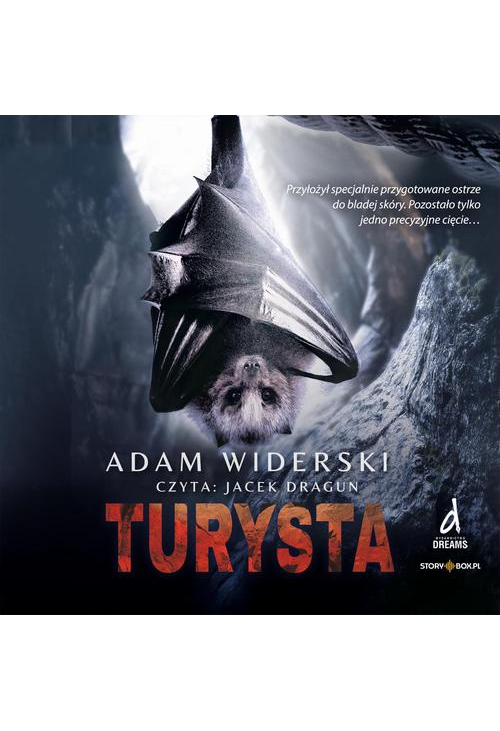 Turysta