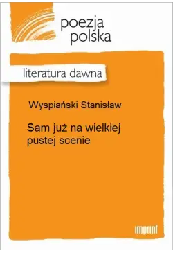 Sam już na wielkiej pustej...