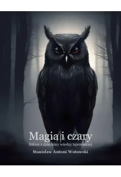 Magia i czary. Szkice z...